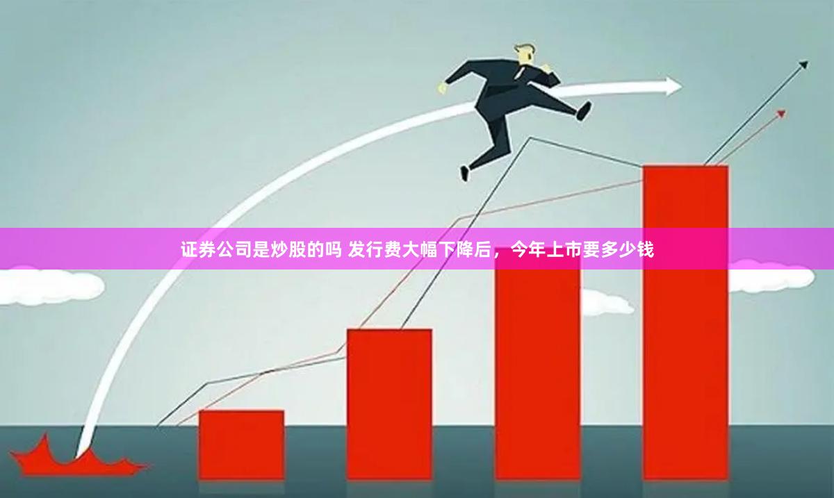 证券公司是炒股的吗 发行费大幅下降后，今年上市要多少钱