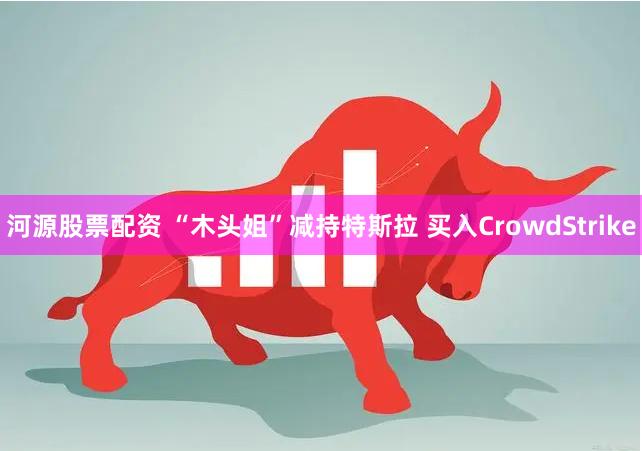 河源股票配资 “木头姐”减持特斯拉 买入CrowdStrike