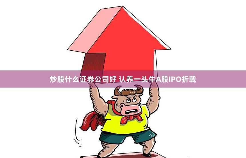 炒股什么证券公司好 认养一头牛A股IPO折戟