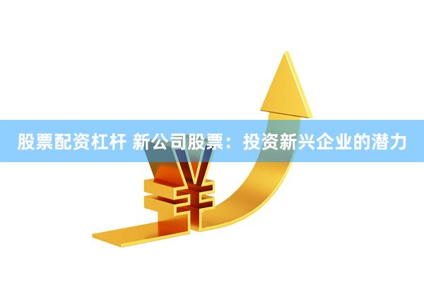 股票配资杠杆 新公司股票：投资新兴企业的潜力