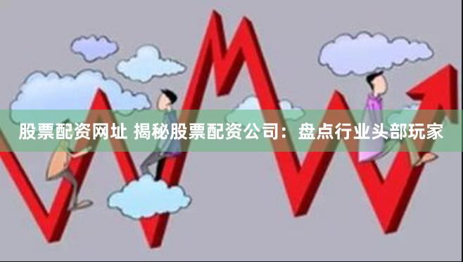 股票配资网址 揭秘股票配资公司：盘点行业头部玩家